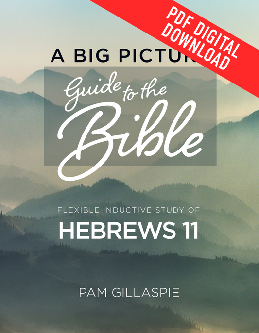 Big Picture Guide to the Bible - Hebrews 11 - Digital PDF Download