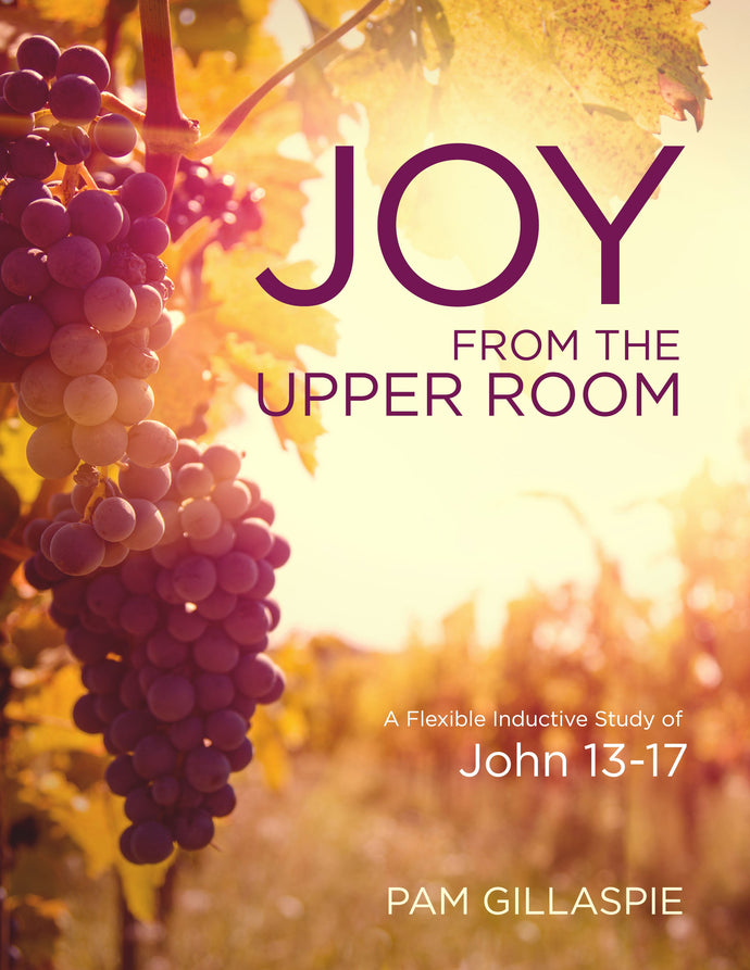 JOY from the Upper Room - Study of John 13-17
